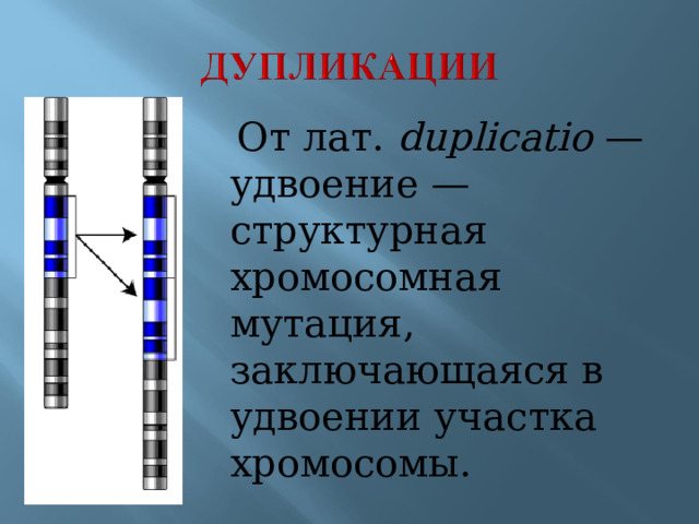 От лат. duplicatio — удвоение — структурная хромосомная мутация, заключающаяся в удвоении участка хромосомы.
