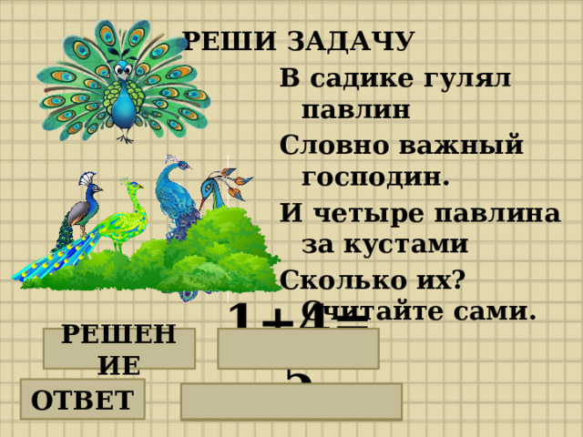 РЕШИ ЗАДАЧУ В садике гулял павлин Словно важный господин. И четыре павлина за кустами Сколько их? Считайте сами. РЕШЕНИЕ 1+4=5 ОТВЕТ 5 павлинов