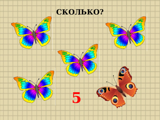 СКОЛЬКО? 5