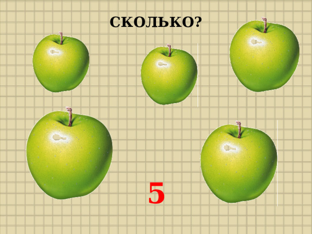 СКОЛЬКО? 5