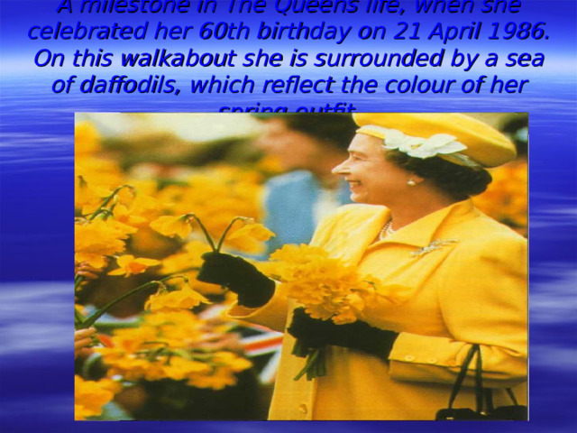 A milestone in The Queens life, when she celebrated her 60th birthday on 21 April 1986. On this walkabout she is surrounded by a sea of daffodils, which reflect the colour of her spring outfit.