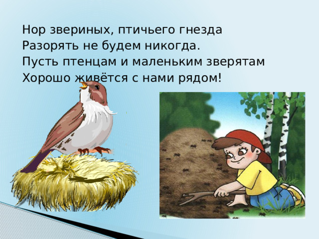 Нор звериных, птичьего гнезда Разорять не будем никогда. Пусть птенцам и маленьким зверятам Хорошо живётся с нами рядом!