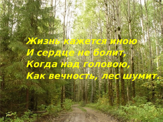 Жизнь кажется иною И сердце не болит, Когда над головою, Как вечность, лес шумит.