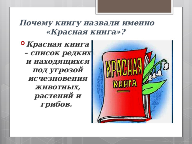 Почему книгу назвали именно «Красная книга»?