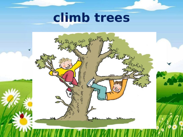 climb trees