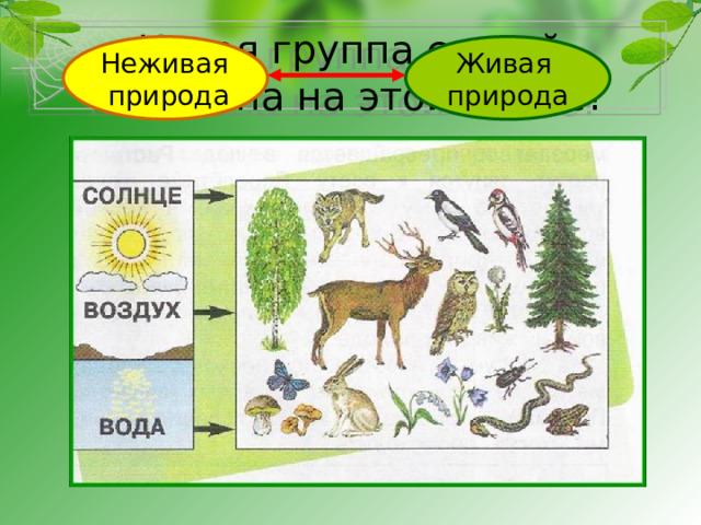 Какая группа связей показана на этой схеме? Неживая Живая природа природа