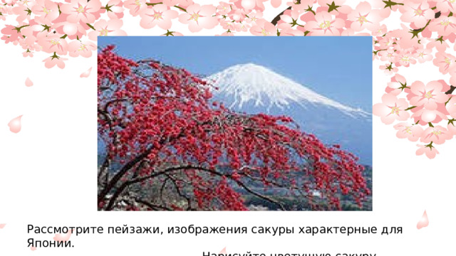 Рассмотрите пейзажи, изображения сакуры характерные для Японии.  Нарисуйте цветущую сакуру.