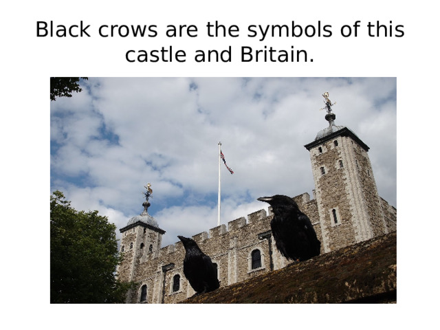 Black crows are the symbols of this castle and Britain.
