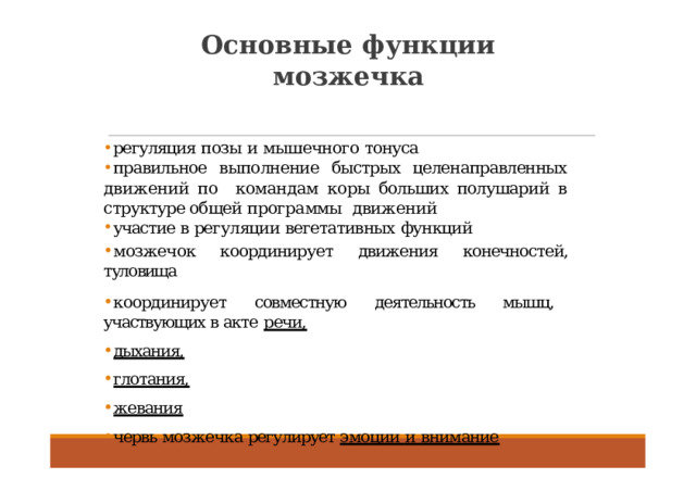 Основные функции мозжечка