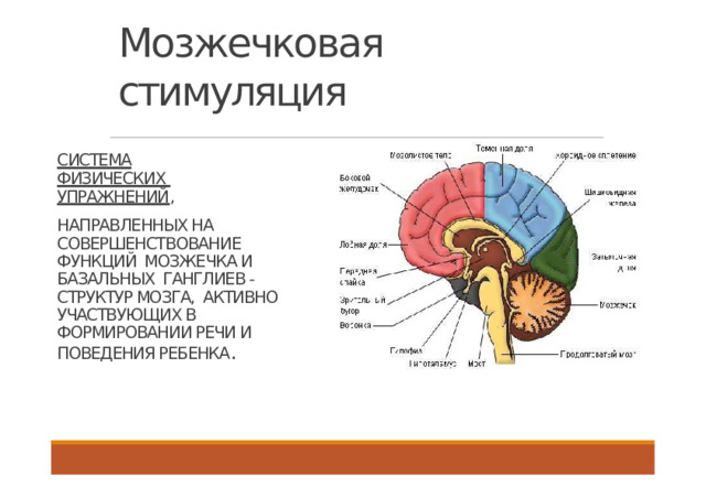 Мозжечковая  стимуляция СИСТЕМА ФИЗИЧЕСКИХ  УПРАЖНЕНИЙ , НАПРАВЛЕННЫХ НА СОВЕРШЕНСТВОВАНИЕ ФУНКЦИЙ МОЗЖЕЧКА И БАЗАЛЬНЫХ ГАНГЛИЕВ - СТРУКТУР МОЗГА, АКТИВНО УЧАСТВУЮЩИХ В ФОРМИРОВАНИИ РЕЧИ И ПОВЕДЕНИЯ РЕБЕНКА .