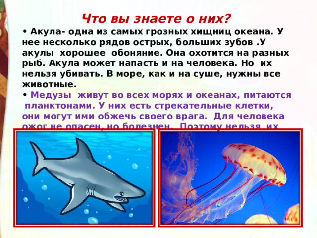 Что вы знаете о них?   •  Акула- одна из самых грозных хищниц океана. У нее несколько рядов острых, больших зубов .У акулы  хорошее  обоняние. Она охотится на разных рыб. Акула может напасть и на человека. Но  их нельзя убивать. В море, как и на суше, нужны все животные. •   Медузы  живут во всех морях и океанах, питаются  планктонами. У них есть стрекательные клетки, они могут ими обжечь своего врага.  Для человека ожог не опасен, но болезнен.  Поэтому нельзя  их трогать.