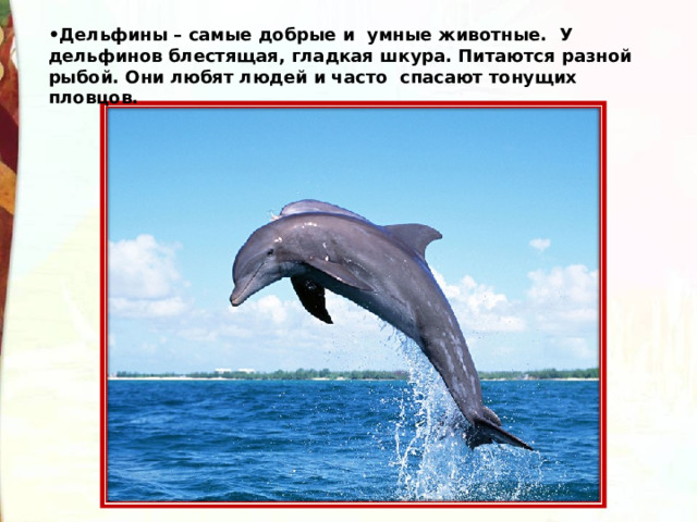 • Дельфины – самые добрые и  умные животные.  У дельфинов блестящая, гладкая шкура. Питаются разной   рыбой. Они любят людей и часто  спасают тонущих пловцов.