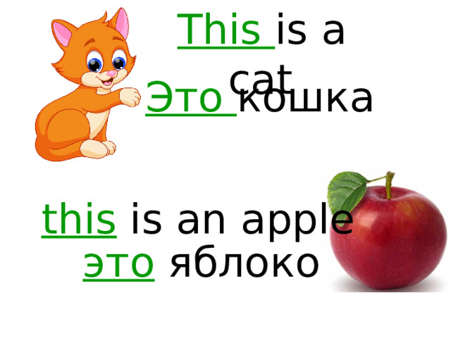 This is a cat  Этo кошка   this is an apple  это яблоко