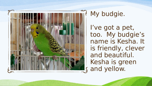 My budgie.   I’ve got a pet, too. My budgie’s name is Kesha. It is friendly, clever and beautiful. Kesha is green and yellow.