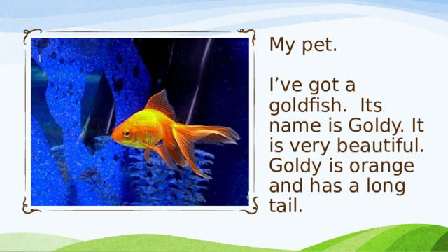 My pet.   I’ve got a goldfish. Its name is Goldy. It is very beautiful. Goldy is orange and has a long tail.