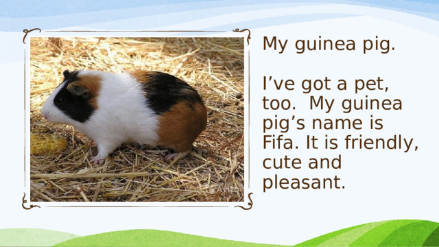 My guinea pig.   I’ve got a pet, too. My guinea pig’s name is Fifa. It is friendly, cute and pleasant.