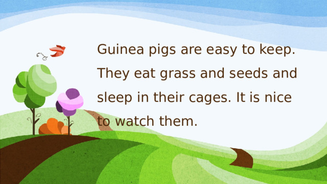Guinea pigs are easy to keep. They eat grass and seeds and sleep in their cages. It is nice to watch them.