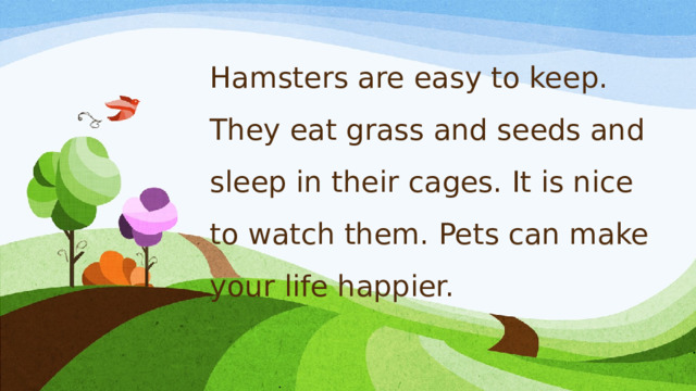 Hamsters are easy to keep. They eat grass and seeds and sleep in their cages. It is nice to watch them. Pets can make your life happier.