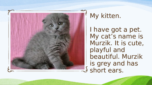 My kitten.   I have got a pet.  My cat’s name is Murzik. It is cute, playful and beautiful. Murzik is grey and has short ears.