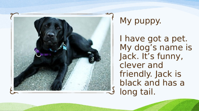 My puppy.   I have got a pet.  My dog’s name is Jack. It’s funny, clever and friendly. Jack is black and has a long tail.