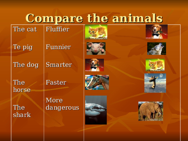 Compare the animals The cat Te pig The dog The horse The shark Fluffier Funnier Smarter Faster More dangerous