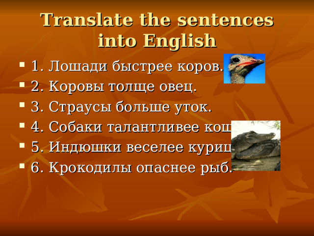 Translate the sentences into English