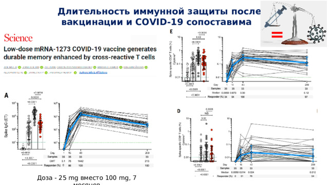 Длительность иммунной защиты после вакцинации и COVID-19 сопоставима =  Доза - 25 mg вместо 100 mg, 7 месяцев