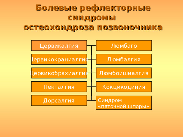 Болевые рефлекторные синдромы  остеохондроза позвоночника Люмбаго Цервикалгия Цервикокраниалгия Люмбалгия Люмбоишиалгия Цервикобрахиалгия Пекталгия Кокцикодиния Синдром «пяточной шпоры» Дорсалгия