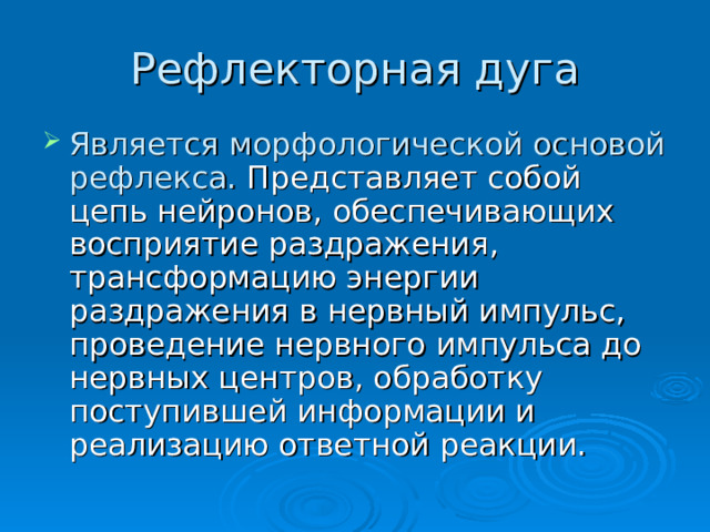 Рефлекторная дуга