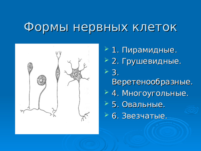 Формы нервных клеток