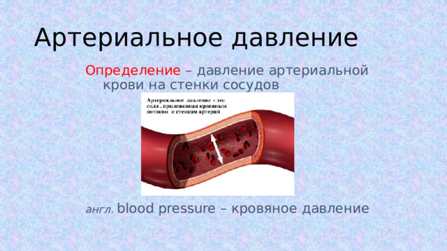 Артериальное давление Определение  – давление артериальной крови на стенки сосудов  aнгл. blood pressure – кровяное давление