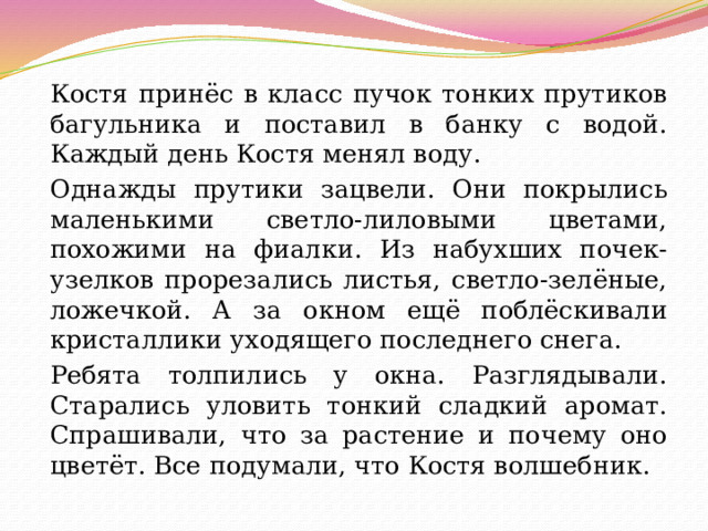 Костя принёс в класс пучок тонких прутиков багульника и поставил в банку с водой. Каждый день Костя менял воду.   Однажды прутики зацвели. Они покрылись маленькими светло-лиловыми цветами, похожими на фиалки. Из набухших почек-узелков прорезались листья, светло-зелёные, ложечкой. А за окном ещё поблёскивали кристаллики уходящего последнего снега.   Ребята толпились у окна. Разглядывали. Старались уловить тонкий сладкий аромат. Спрашивали, что за растение и почему оно цветёт. Все подумали, что Костя волшебник.