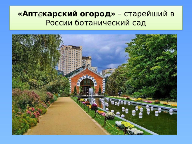 «Апт е карский огород»  – старейший в России ботанический сад