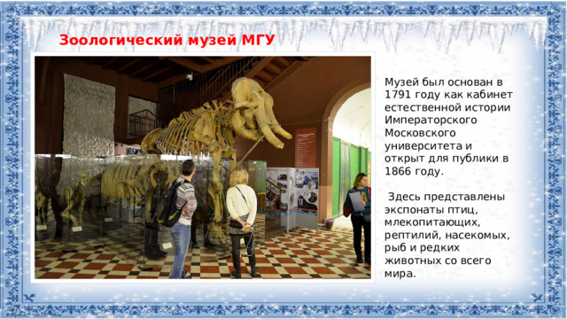 Зоологический музей МГУ Музей был основан в 1791 году как кабинет естественной истории Императорского Московского университета и открыт для публики в 1866 году.  Здесь представлены экспонаты птиц, млекопитающих, рептилий, насекомых, рыб и редких животных со всего мира.