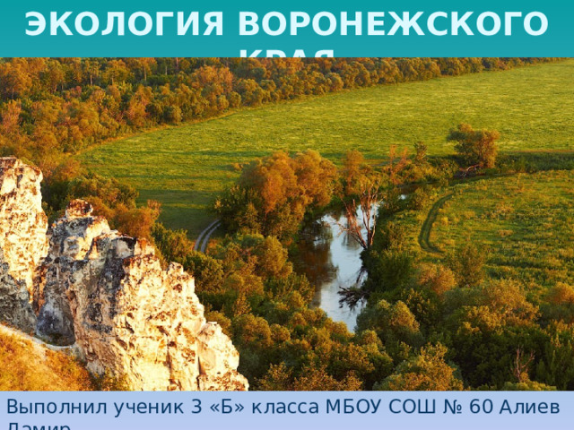 ЭКОЛОГИЯ ВОРОНЕЖСКОГО КРАЯ Выполнил ученик 3 «Б» класса МБОУ СОШ № 60 Алиев Дамир Учитель: Кузьмина Наталья Николаевна