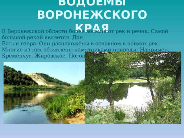 ВОДОЁМЫ ВОРОНЕЖСКОГО  КРАЯ В Воронежской области более восьмисот рек и речек. Самой большой рекой является Дон . Есть и озера. Они расположены в основном в поймах рек. Многие из них объявлены памятниками природы. Например, Кременчуг, Жировское, Погоново.