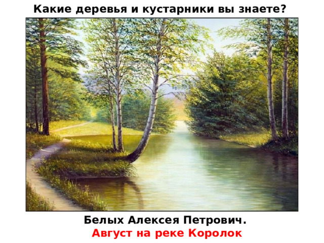 Какие деревья и кустарники вы знаете? Белых Алексея Петрович. Август на реке Королок