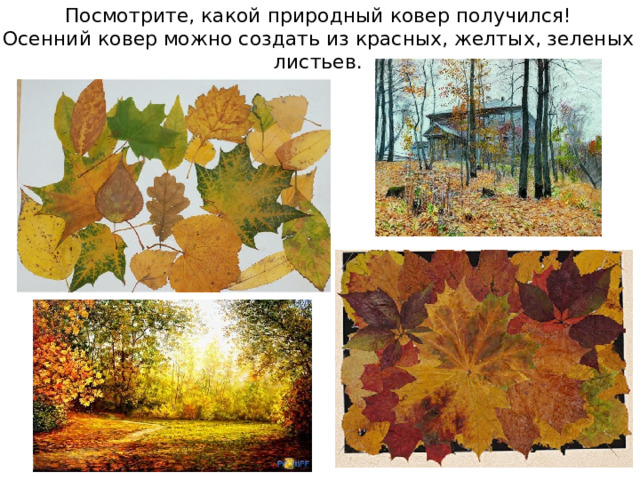 Посмотрите, какой природный ковер получился! Осенний ковер можно создать из красных, желтых, зеленых листьев.