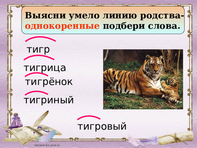 Выясни умело линию родства- однокоренные подбери слова.  тигр тигрица тигрёнок тигриный тигровый