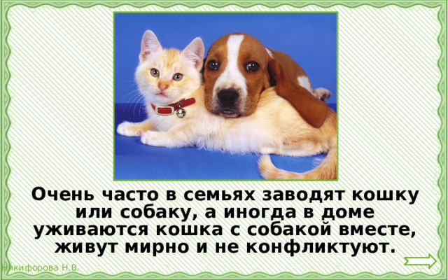 Очень часто в семьях заводят кошку или собаку, а иногда в доме уживаются кошка с собакой вместе, живут мирно и не конфликтуют.