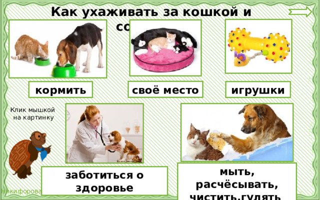 Как ухаживать за кошкой и собакой ? своё место кормить игрушки Клик мышкой  на картинку мыть, расчёсывать, чистить,гулять заботиться о здоровье