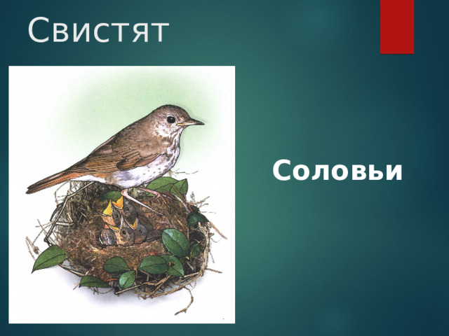 Свистят Соловьи