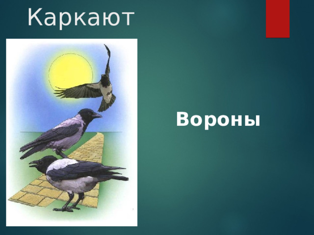 Каркают Вороны