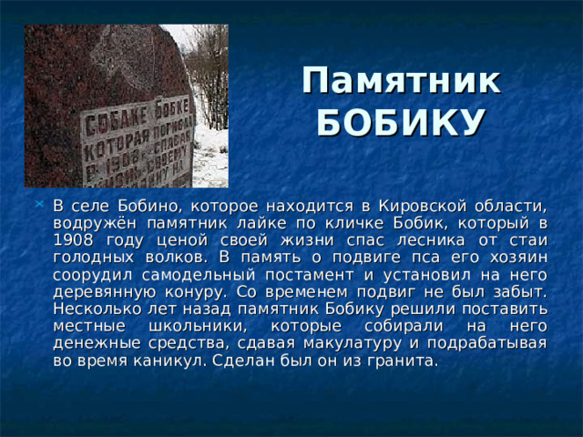 Памятник БОБИКУ