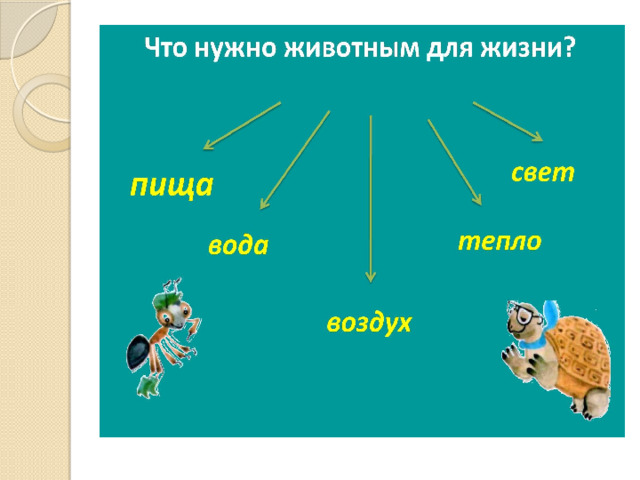 Презентация как живут животные