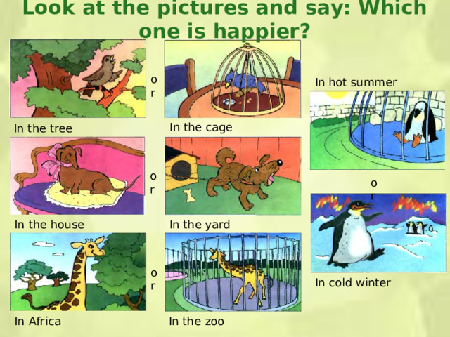 Look at the pictures and say: Which one is happier? or In hot summer In the cage In the tree or or In the house In the yard or In cold winter In Africa In the zoo
