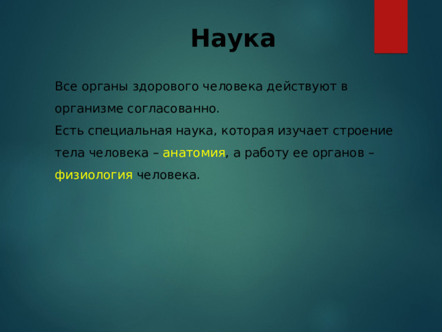 Наука Все органы здорового человека действуют в организме согласованно. Есть специальная наука, которая изучает строение тела человека – анатомия , а работу ее органов – физиология человека.