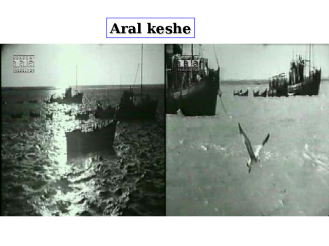 Aral keshe