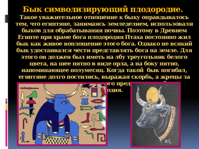 Жук обожествляемый египтянами. Священное животное Израиля. Бог плодородия в образе быка. Священное существо конфуцианцы. Священное животное в Турции.