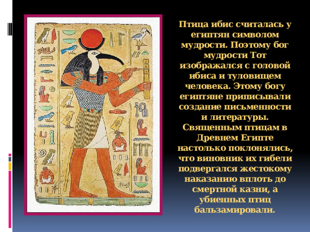 Птица ибис считалась у египтян символом мудрости. Поэтому бог мудрости Тот изображался с головой ибиса и туловищем человека. Этому богу египтяне приписывали создание письменности и литературы. Священным птицам в Древнем Египте настолько поклонялись, что виновник их гибели подвергался жестокому наказанию вплоть до смертной казни, а убиенных птиц бальзамировали.